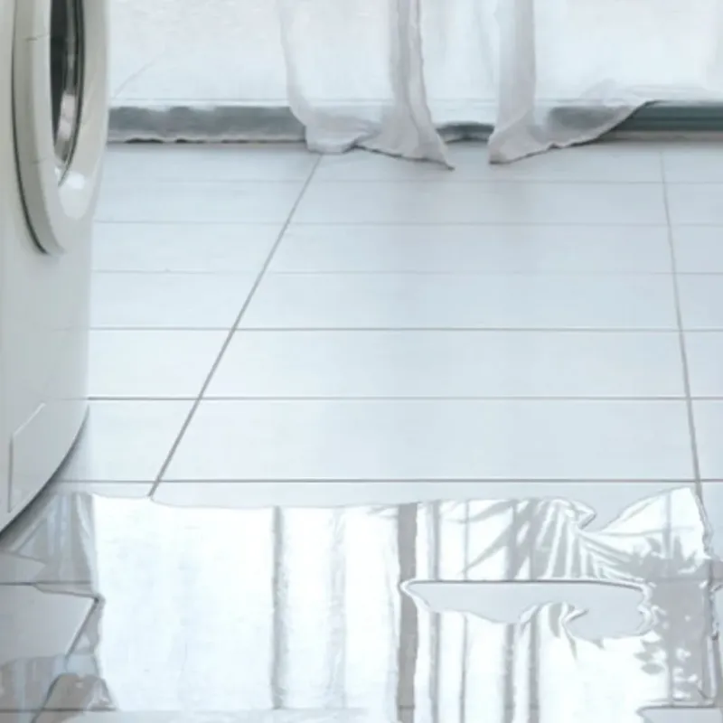 Appliance Leak Cleanup in Claremont, NC