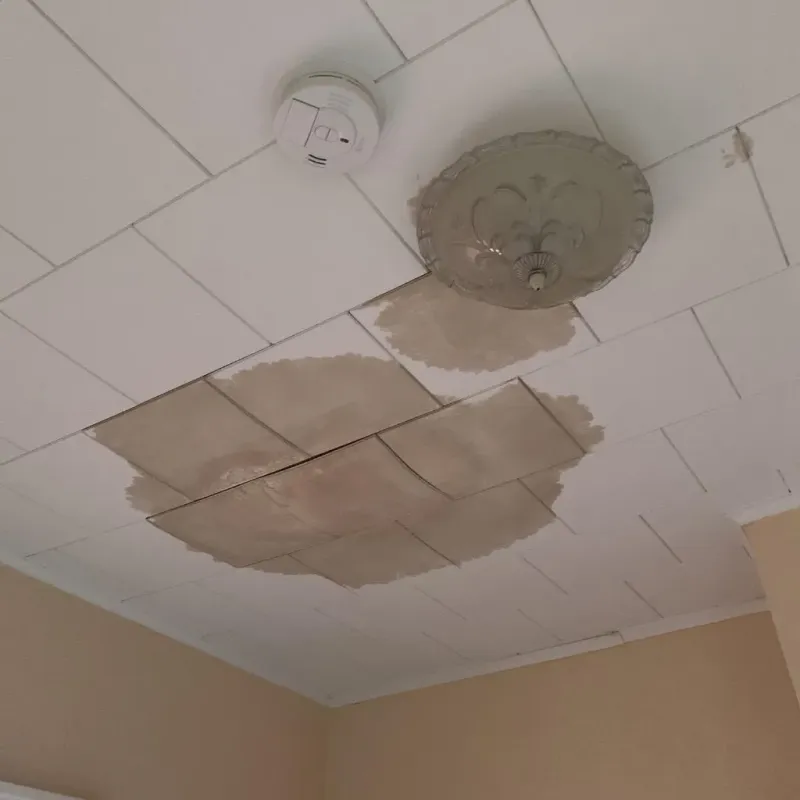 Ceiling Water Damage Repair in Claremont, NC