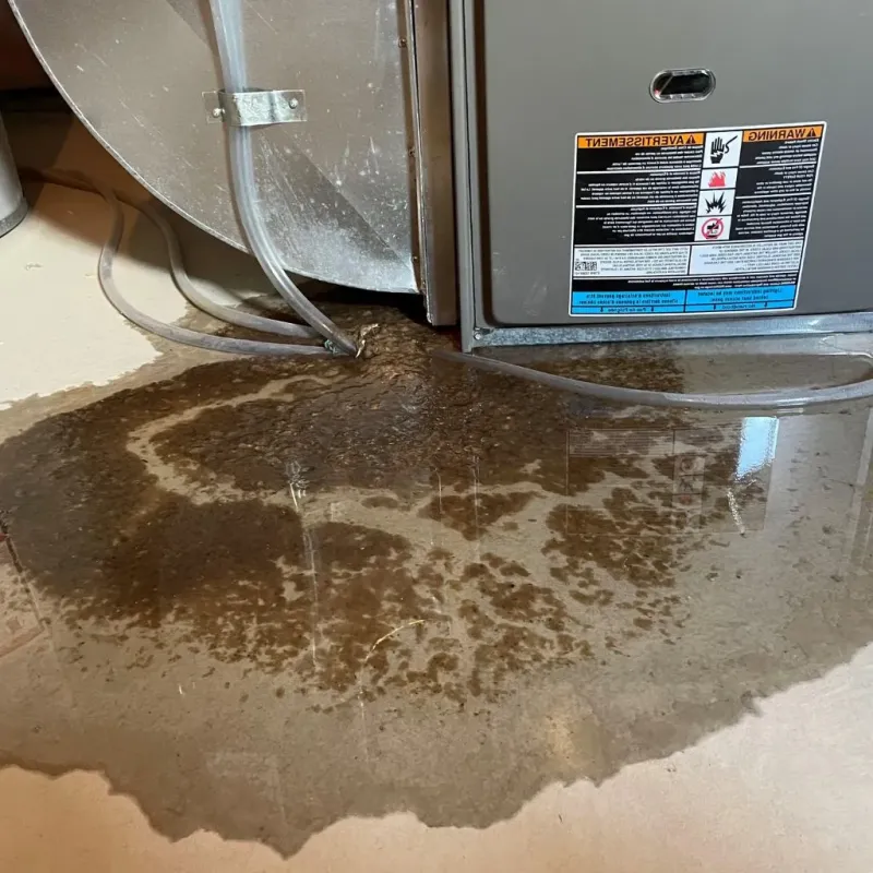 Pipe Burst and Leak Restoration in Claremont, NC
