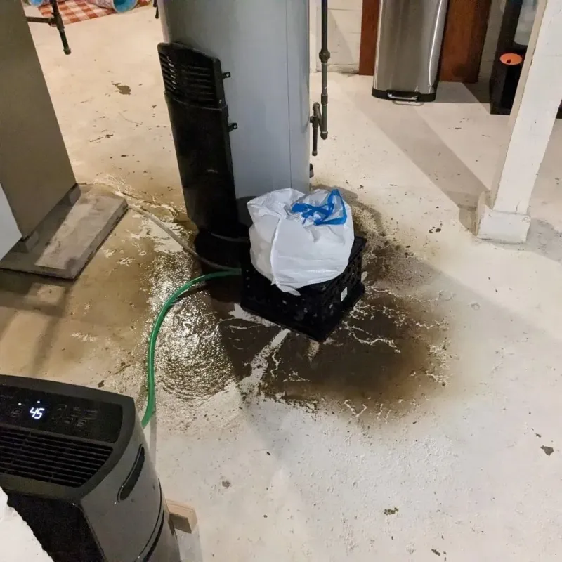Sewage Backup Cleanup Service in Claremont, NC
